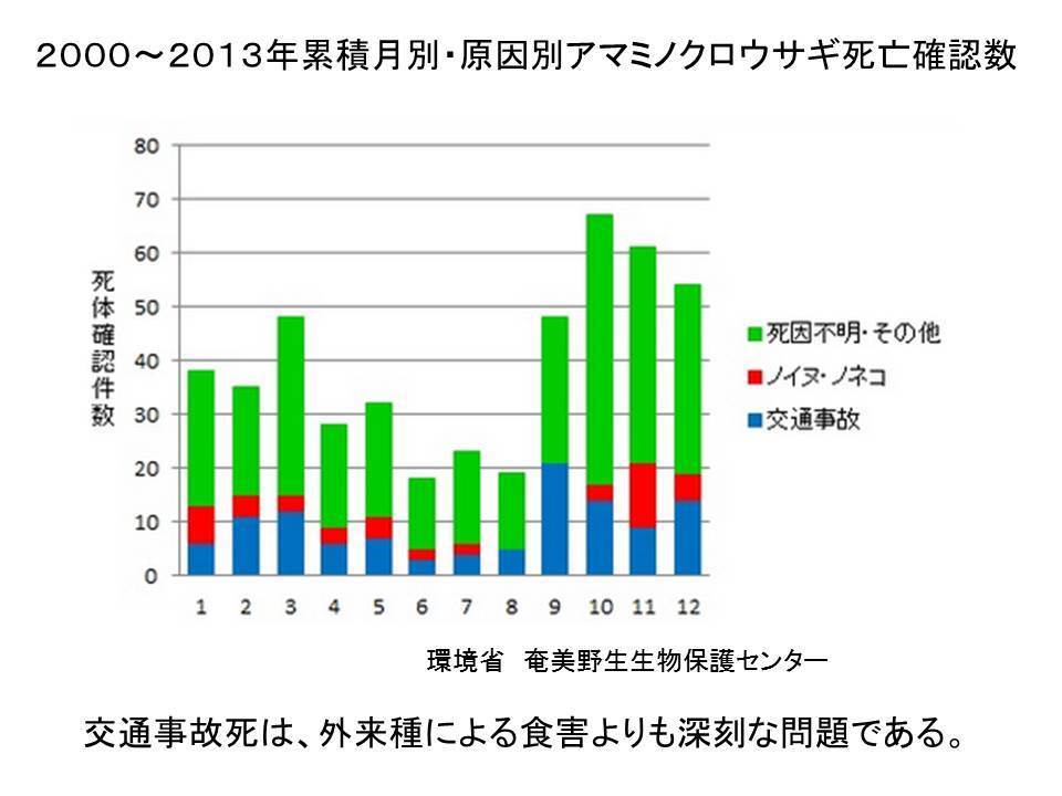 シマッチュと猫の関係史 私とみんなの読書感想文